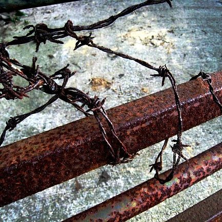 止まらない受刑者の高齢化【みんかい】