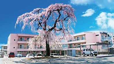 介護老人保健施設陽南（宇都宮市の介護老人保健施設）の施設情報・評判